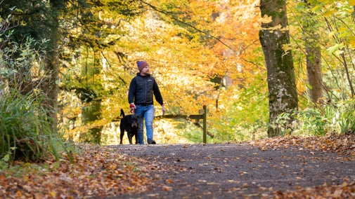 Walking the dog at Wallington in Autumn